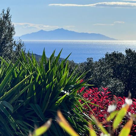 Gîte indépendant dans villa entre mer et maquis Sisco Extérieur photo